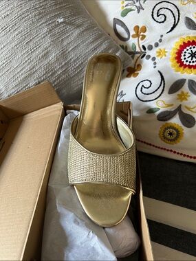 Mix No. 6 Metallic Gold Woven Slide Mule